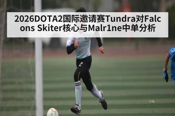 2026DOTA2国际邀请赛Tundra对Falcons Skiter核心与Malr1ne中单分析